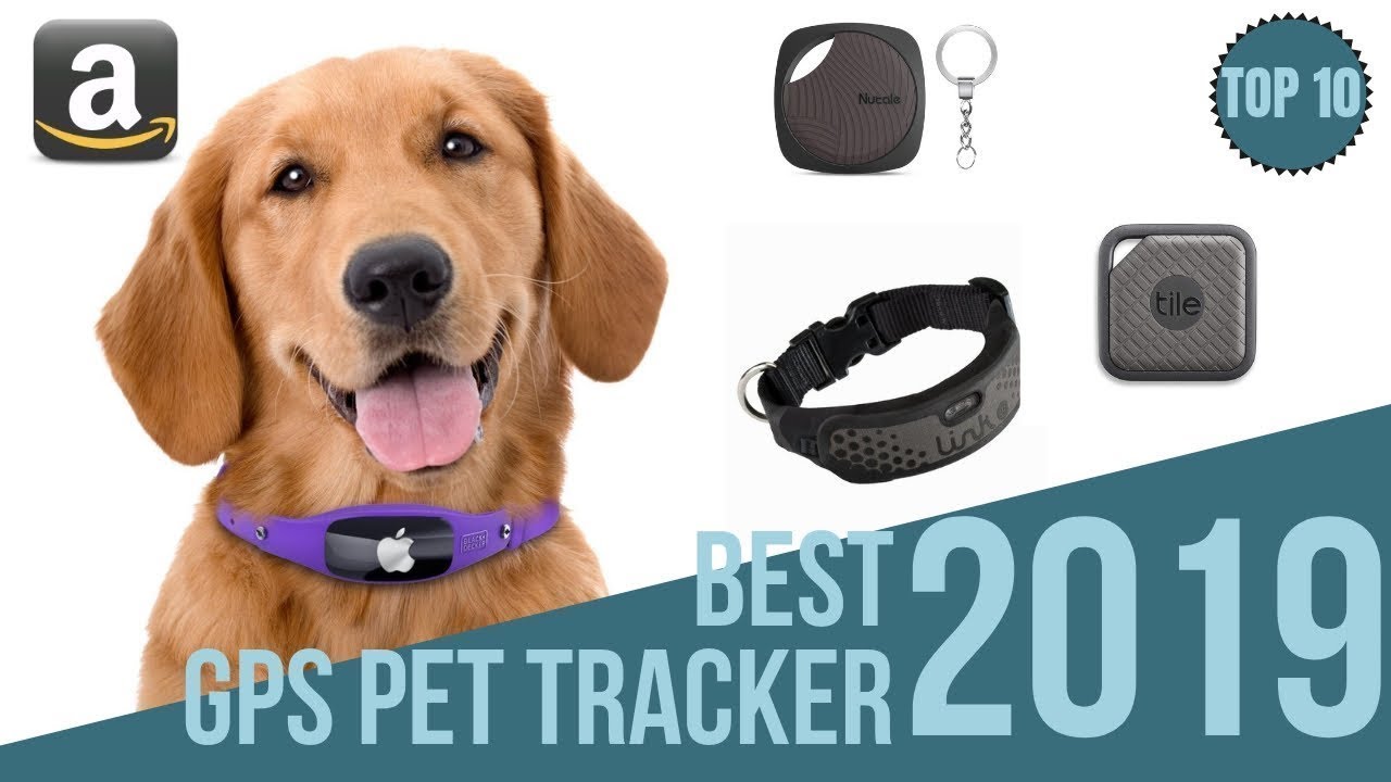 10 BEST GPS TRACKERS FOR PETS