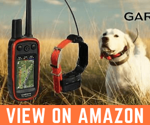 Top 10 BEST GPS TRACKERS FOR PETS of 2023